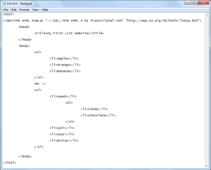 HTML_List6
